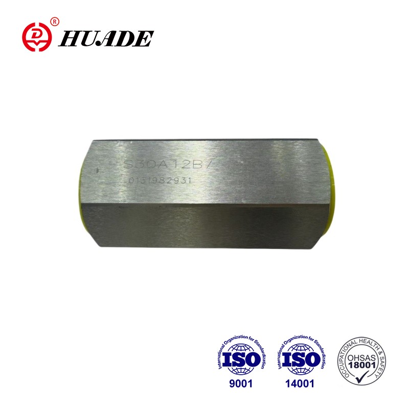 Verzinktes Rückschlagventil Typ S: Ein praktischer Leitfaden für Käufer und Ingenieure